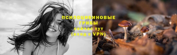 стаф Мегион