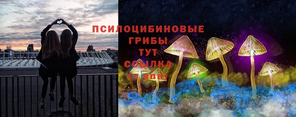 трава Осинники