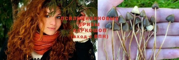 прущий лед Майский