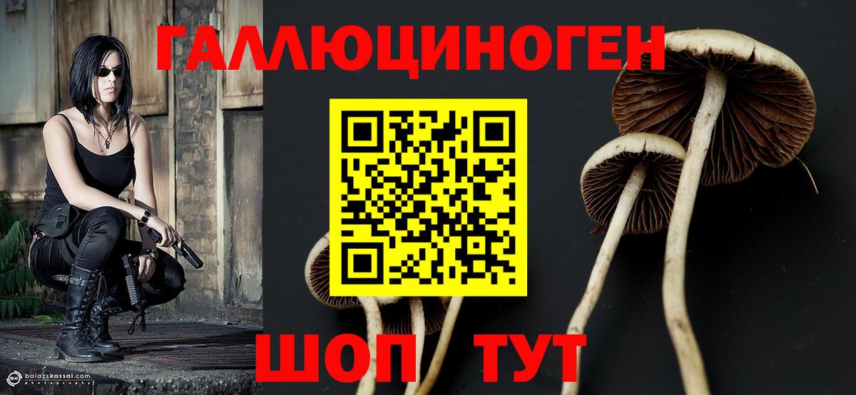 Галлюциногенные грибы ЛСД Североуральск