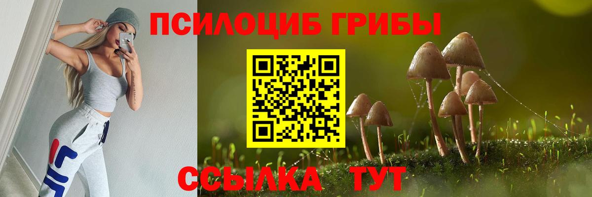 Галлюциногенные грибы Cubensis Североуральск